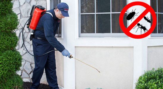 Devrek Fare İlaçlama böcek ilaçlama ve haşere kontrolü — ilaclama-tr.com
